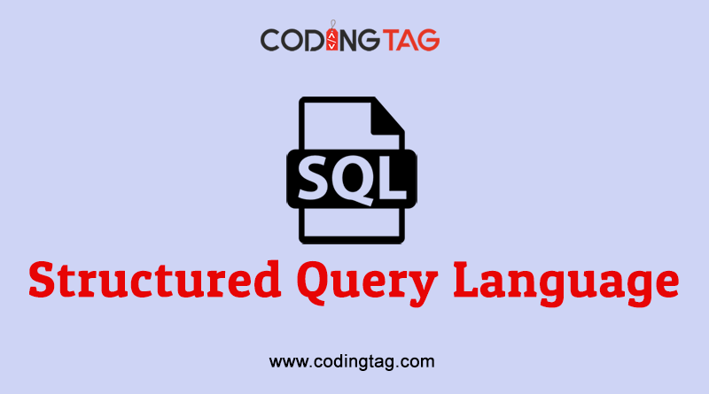 Structured Query Language (SQL) Structured Query Language (SQL)