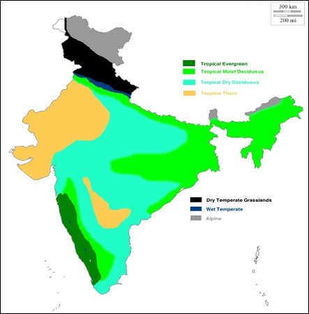 Natural Vegetation of India - Civil Services Preparation Online! UPSC ...