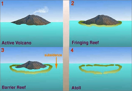 Islands and Coral Reefs