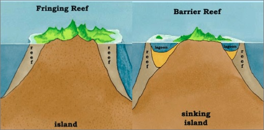 Fringing Reefs and Barrier Reefs