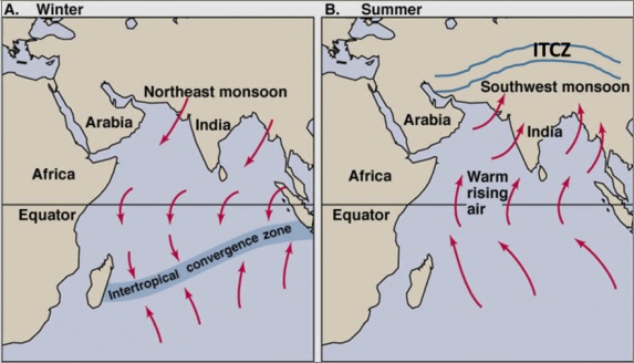 Heavy Rainfall in the Summers