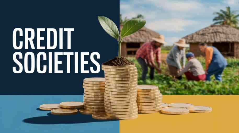 Primary Agricultural Credit Societies (PACS): Role, Functions, and Importance in Rural Finance