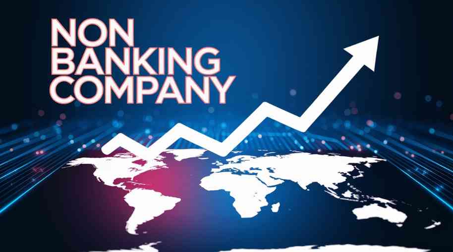 Residuary Non-Banking Companies (RNBCs): Understanding Their Role in the Financial Sector