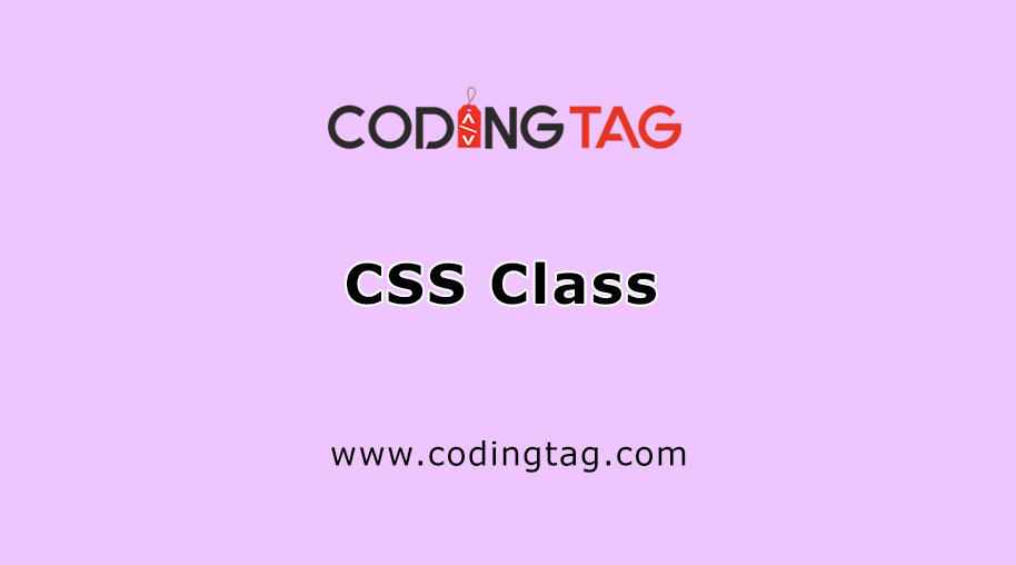 CSS Class