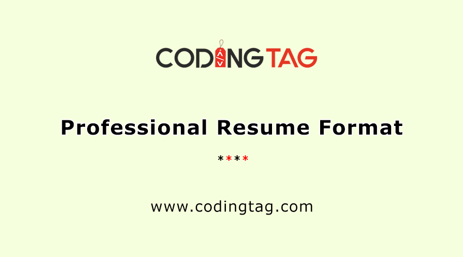 Professional Resume Format