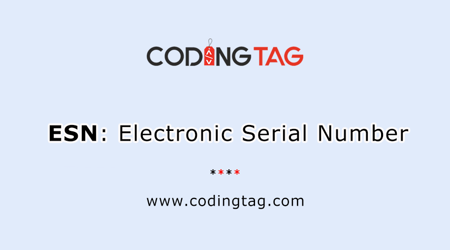 Electronic Serial Number (ESN) 