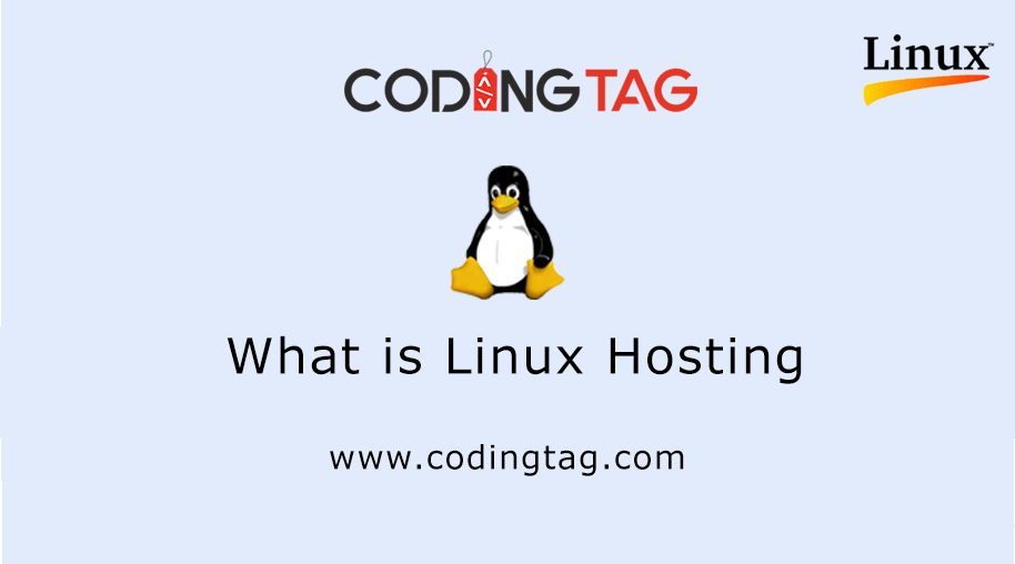 What is Linux Hosting?