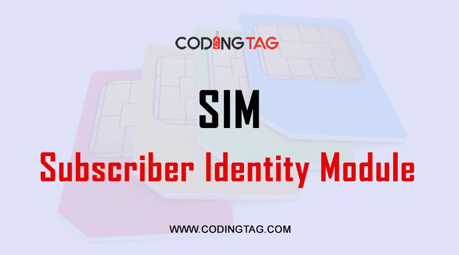 Subscriber Identity Module (SIM)