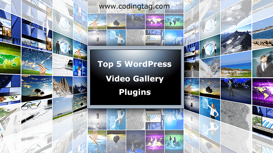 Top 5 WordPress Plugins for Video Gallery