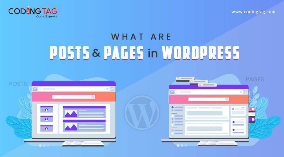 What are Posts and Pages in WordPress