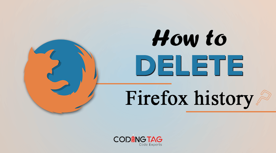 How to delete Firefox History