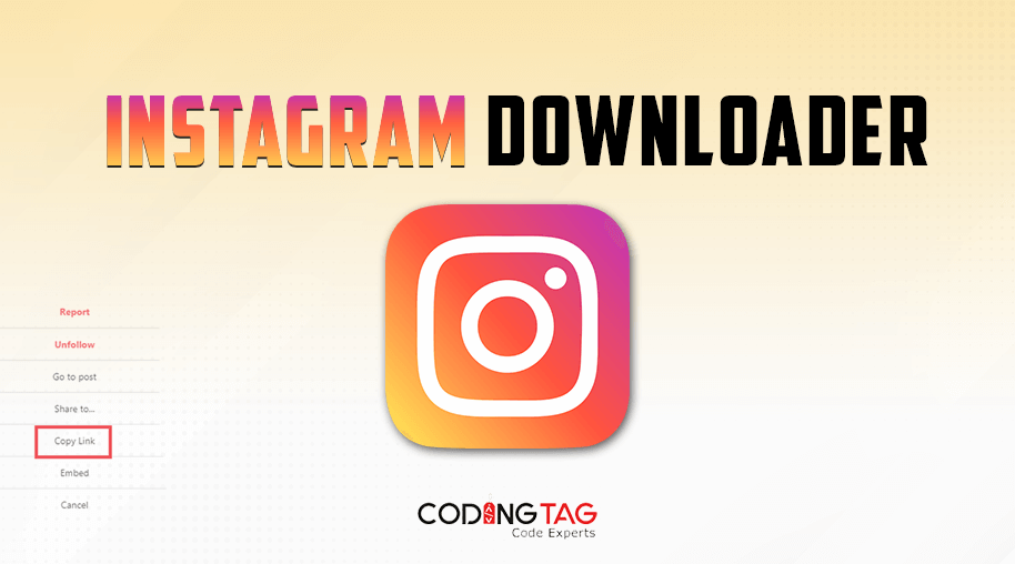 Instagram Downloader