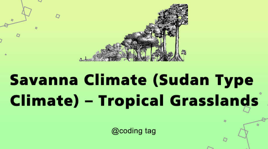 Savanna Climate (Sudan Type Climate) – Tropical Grasslands
