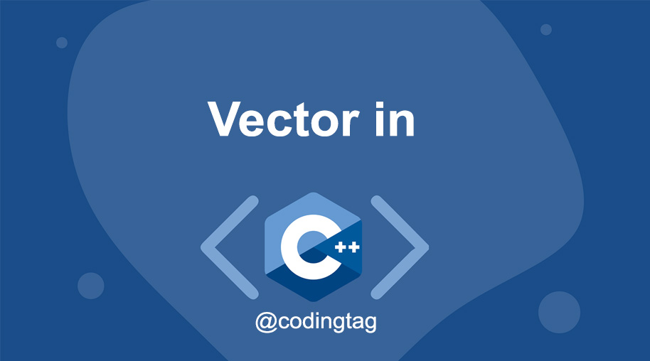 Vector in C++