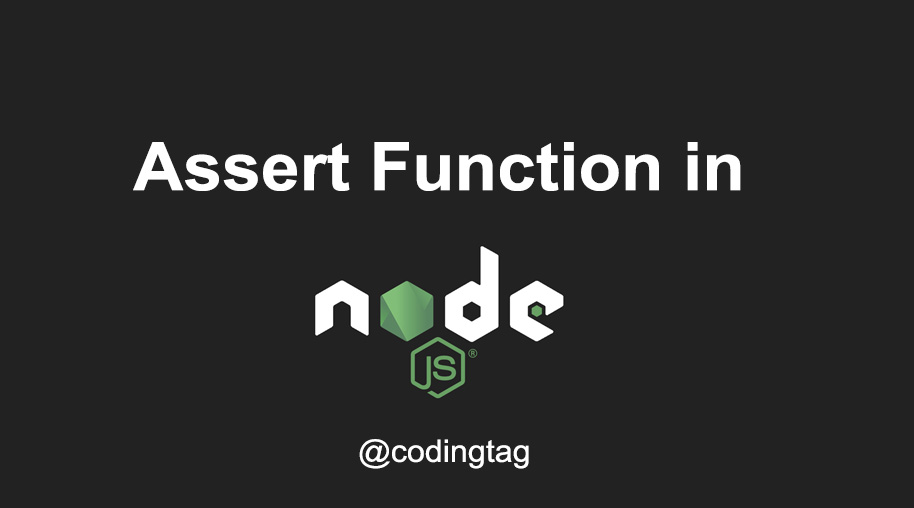 assert() Function in Node.js