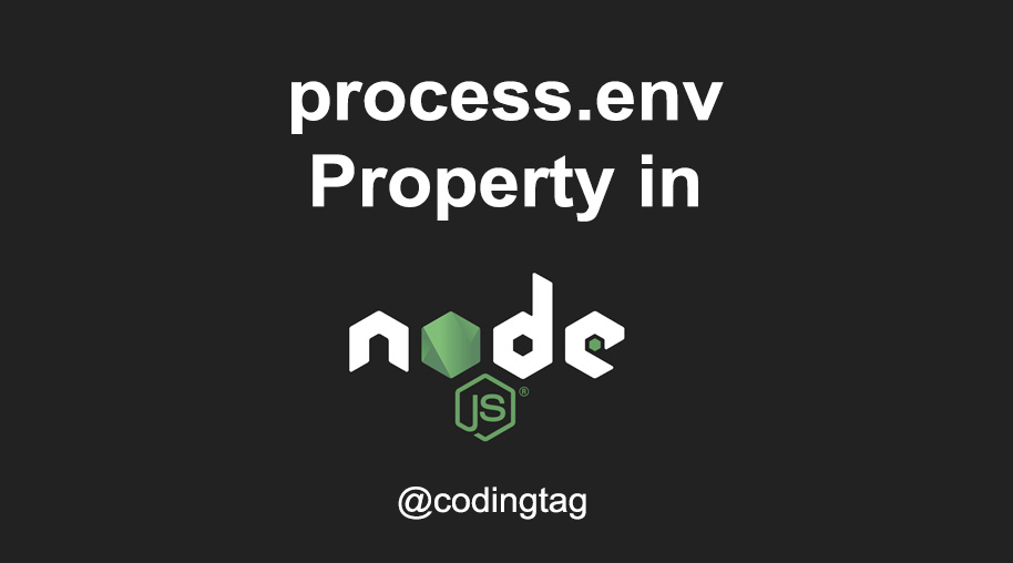 process.env Property in Node.js