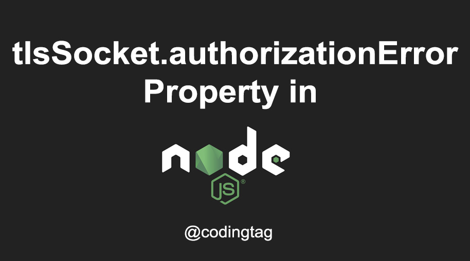 tlsSocket.authorizationError Property in Node.js