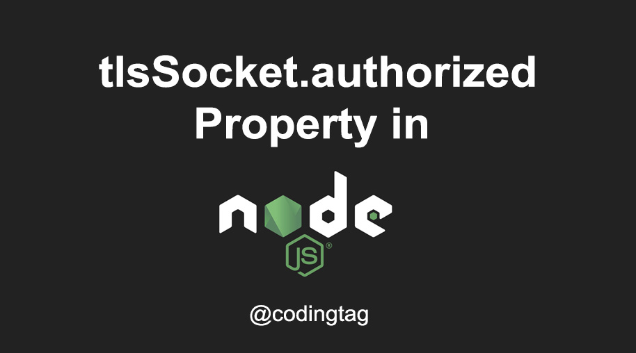 tlsSocket.authorized Property in Node.js