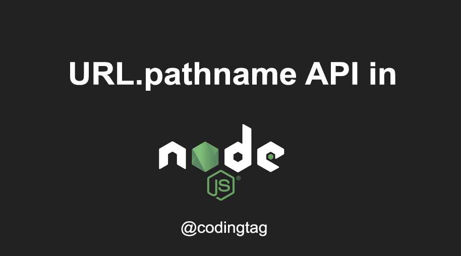 URL.pathname API in Node.js