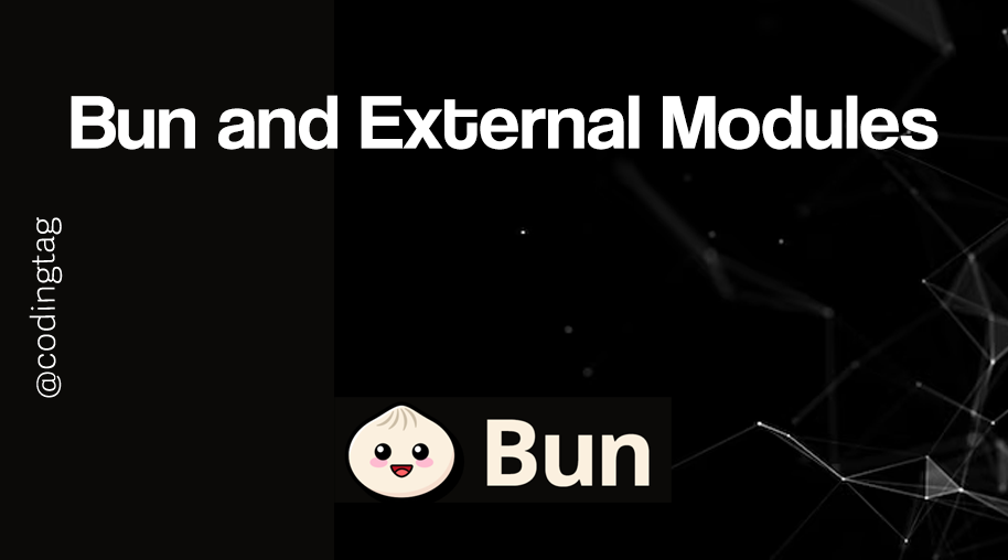 Bun and External Modules