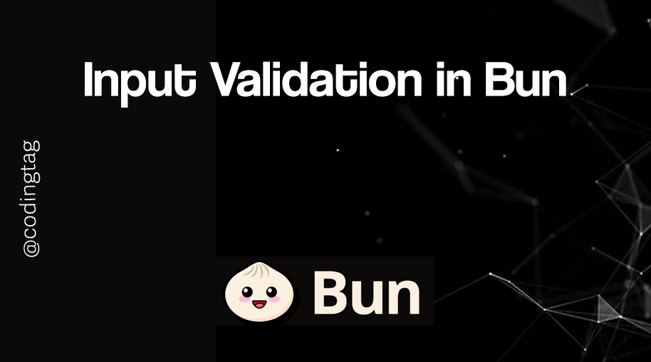 Input Validation in Bun
