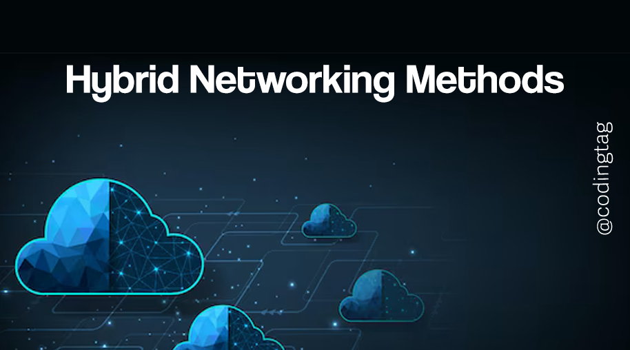 Hybrid Networking Methods
